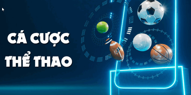Ra mắt trên nhiều nền tảng trực tuyến 