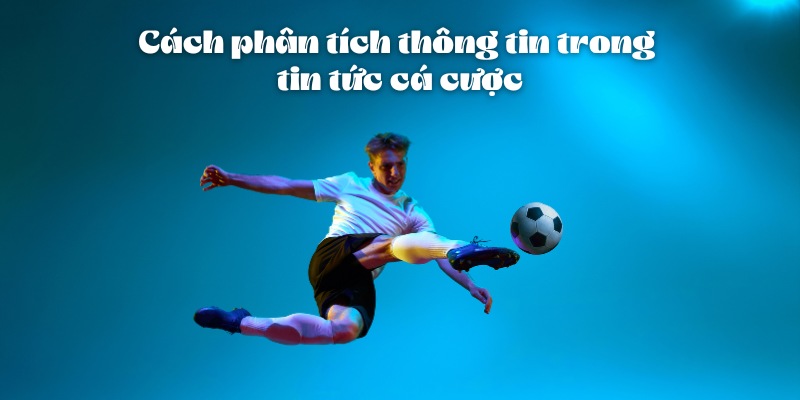 Cách Đọc Tin Tức Cá Cược Hiệu Quả Và Chính Xác Cùng 11bet 6 Cách phân tích thông tin trong tin tức cá cược